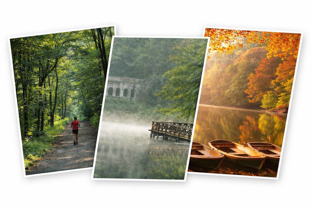 Angled collage of Belgrad Forest in Istanbul featuring forest trails, a misty lake, and autumn scenery.